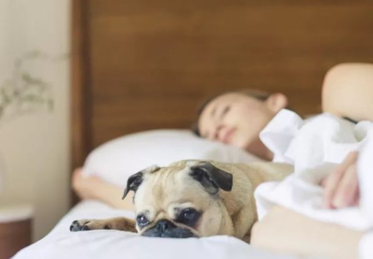 睡眠健康管理师