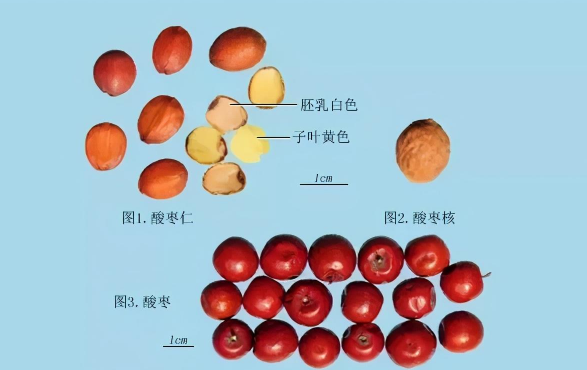 失眠治疗