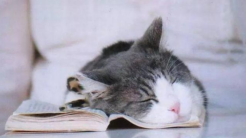 睡眠治疗